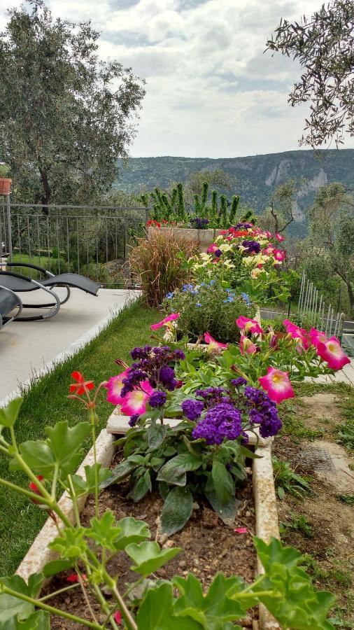 フィナーレ・リーグレ La Vie Est Belle Bed & Breakfast エクステリア 写真