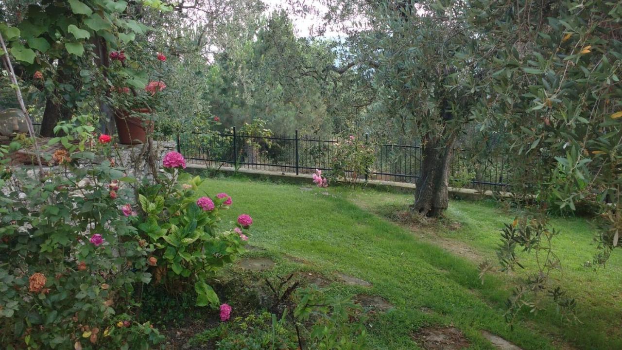フィナーレ・リーグレ La Vie Est Belle Bed & Breakfast エクステリア 写真